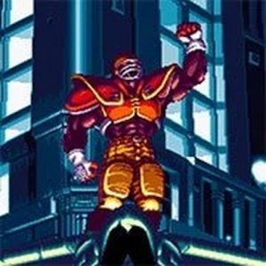 World Heroes 2 Arcade Brawler