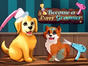 Pet Grooming Adventure