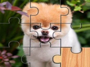 Unique Fish Puzzle Game