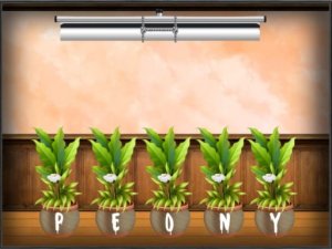 Kids Room Escape Puzzle