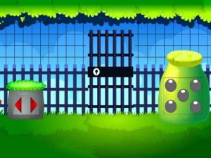 Rainbow Valley Escape Puzzle