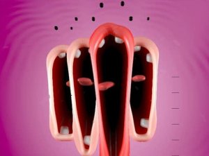 Funny Chorus Music Game