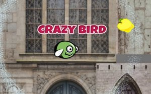 Bird City: Fly & Collect