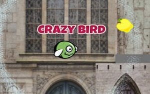 City Bird: Collect and Fly