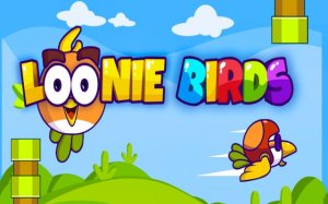 Loonie Birds Endless Flyer