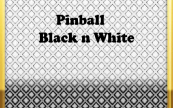 Pinball Black N White - Classic Arcade Game