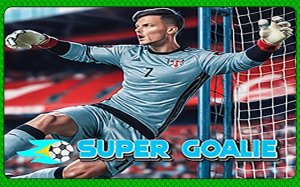 Super Goalie Arcade Game
