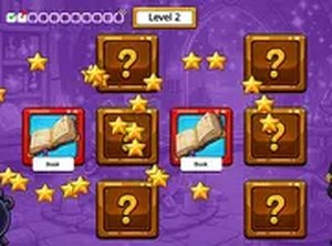Bright Picture Match Puzzle